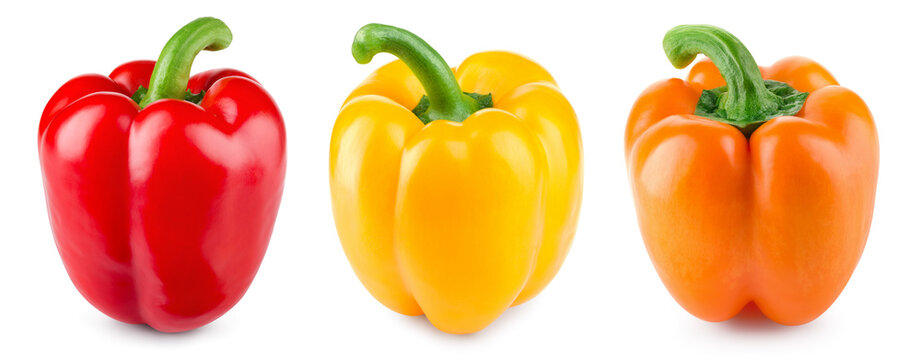 Pepper isolated. Paprika on white background. Red, green, yellow bell pepper. With clipping path.