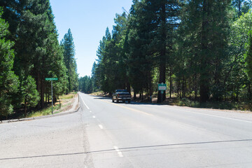 Fototapeta premium road in the forest