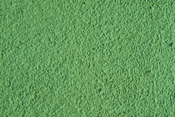 green decorative plaster, close-up as texture for background