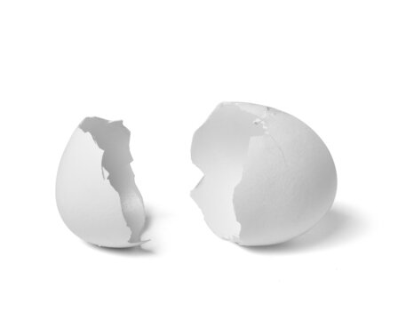 egg shell food white breakfast ingredient fragile protein half chicken part easter broken eggshell cracked