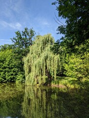 Fototapete bei efototapeten.de bestellen   