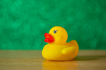 yellow duck gift. Funny photo. 