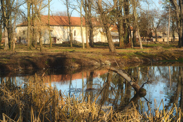 Calm and tranquil nature scene - peaceful lake and tree reflection in the park of old abandoned castle near Vrsac, Vojvodina