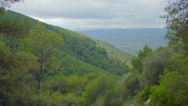 Picturesque shot of the Province Of Castellon, Spain in distant Background. wide aerial view, Pine trees all around Natural parc of Sierra de Irta.