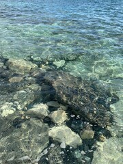 Transparent sea surface, lagoon, pebbles and stones, ripples on the sea surface