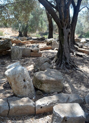 Antique ghost town construction blocks remains