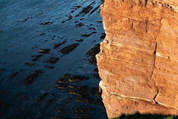 Felswand aus rotem Sandstein an  der Steilküste aus  auf der Hochseeinsel  Helgoland , wo im Frühjahr unzählige Meeresvögel brüten