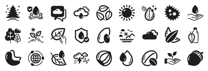 Set of Nature icons, such as Weather forecast, Water bottle, Leaves icons. Bad weather, Water care, Flood insurance signs. Organic tested, Tree, Peanut. Soy nut, Grow plant, Cashew nut. Vector