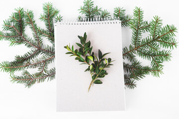 organic paper notebook with green twig on white background. zero waste concept