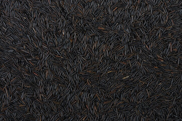 Dry black wild rice texture background