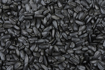Black sunflower seeds texture and background