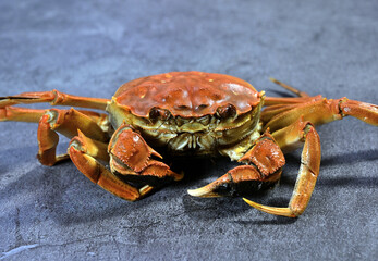 Yangcheng Lake hairy crab at Chinese restaurant