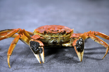 Yangcheng Lake hairy crab at Chinese restaurant