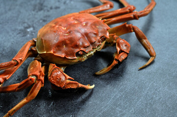 Yangcheng Lake hairy crab at Chinese restaurant