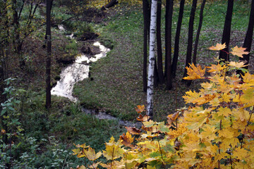 A small river deep in the autumn forests of Russia