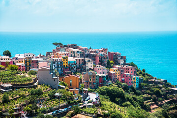 Obraz premium Fascinating view with ancient colored houses in Corniglia, Cinque Terre.