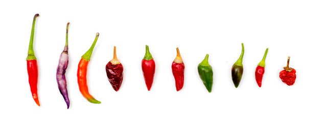 Hot chili peppers. with different color and shapes together. 