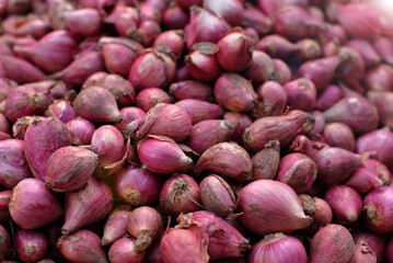 Red onions - Large quantities of red onions in the basket
