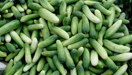 Fresh cucumbers - Cucumbers in bulk in the basket. Cucumbers from the garden