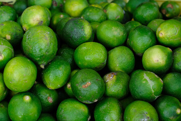 Fresh limes - Limes in bulk in the basket. Lime from the garden