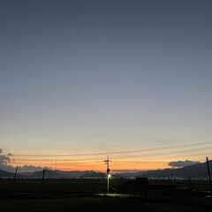Fototapeta na wymiar power lines at sunset