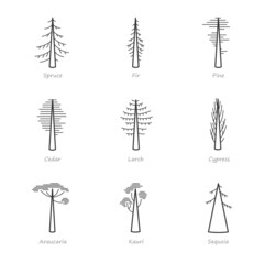 Simple set of coniferous trees related vector icons. Contains icons as araucaria, cedar, cypress, fir, pine and more.