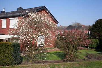 Wohnhäuser, Einfamilienhäuser im Grünen , Bremen, Deutschland