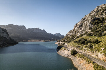 Plantà de Grog Blau - Mallorca