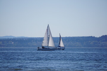 Obraz premium sailboat on the sea