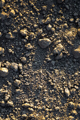 Black earth with sunlit ground mounds. ground before planting seeds and growing vegetables or soybeans.