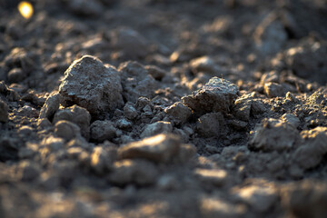 Black earth with sunlit ground mounds. ground before planting seeds and growing vegetables or soybeans.