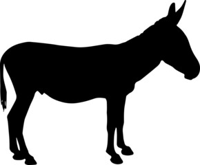 Donkeys Silhouettes Donkeys SVG EPS PNG