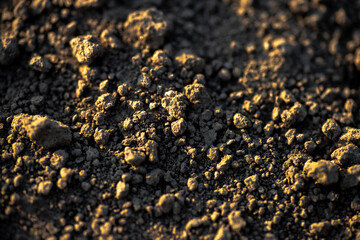 Black earth with sunlit ground mounds. ground before planting seeds and growing vegetables or soybeans.
