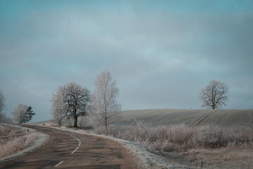 Obraz na płótnie Canvas empty road by the farming land with frost with trees and hill and cloudy sky