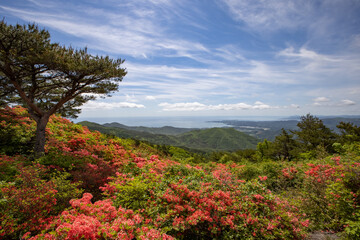 《宮城県・気仙沼》徳仙丈山