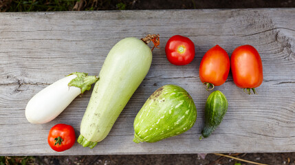 Fresh organic eggplant aubergine, zucchini, tomatoes and cucumber on wooden board. Seasonal vegetables picked from the garden, harvest time