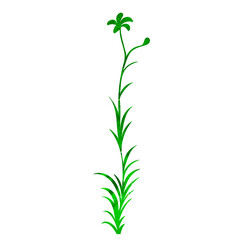 plant green watercolor silhouette set, isolated