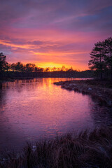 Fototapeta na wymiar frozen swamp lake in autumn sunset colorful sky covered with ice and grass in foreground and pine trees
