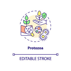 Protozoa concept icon. Agricultural microbiology abstract idea thin line illustration. Soil environment. Isolated outline drawing. Editable stroke. Roboto-Medium, Myriad Pro-Bold fonts used