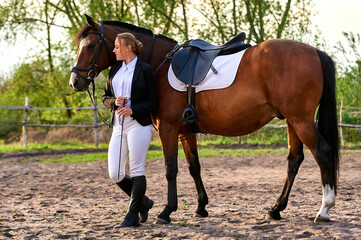 Beautiful horse rider girl stands near a horse on a farm

