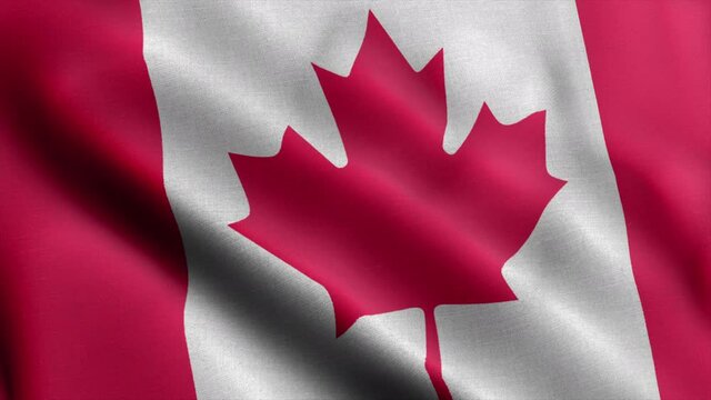 Canada blowing flag video, motion loop. Canada flag Closeup 4k resolution video.