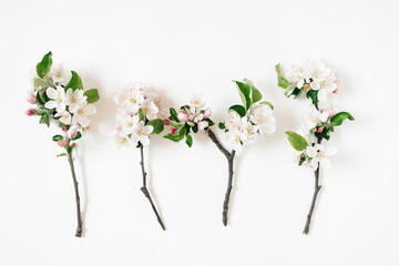 Delicate white flowers of an apple tree on branches on a white table, top view and flat lay