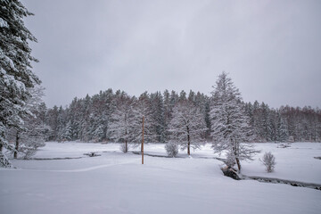 freezing forest small river on a cloudy dull winter day with snow and trees