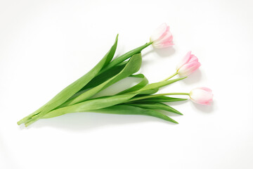 Fototapeta premium Pink tulips on a white background. Birthday. Happy women's day. Mother's Day. Valentine's Day. Flowers composition romantic. Flat flat, top view