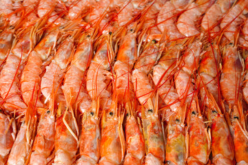 Obraz na płótnie Canvas Lots of Argentine shrimps, langoustines or king tiger prawns. Background or texture