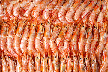 Lots of Argentine shrimps, langoustines or king tiger prawns. Background or texture