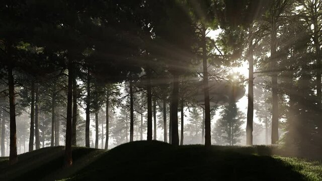 3d illustration. Contact with UFO in the forest