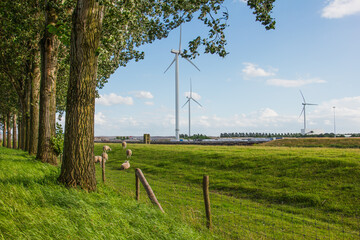 Fototapeta premium Wind turbines in Neterlands