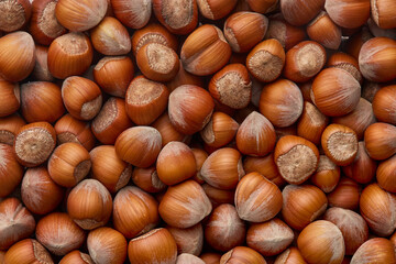 Hazelnuts pattern viewed from above. Top view