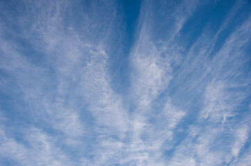 Cirrus clouds against a blue sky